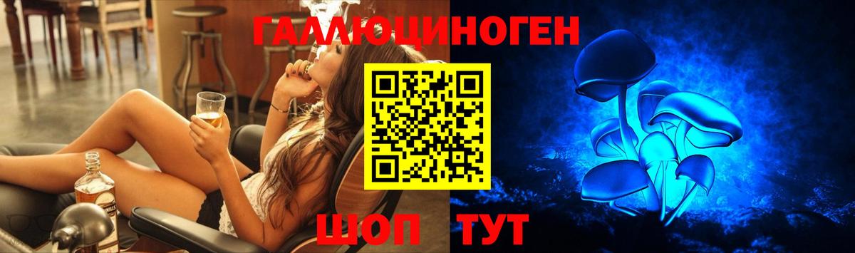 Тара  Галлюциногенные грибы Magic Shrooms  Вход с VPN 